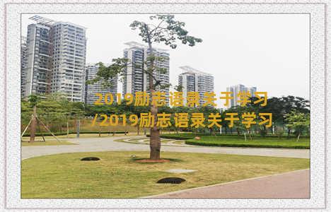 2019励志语录关于学习/2019励志语录关于学习