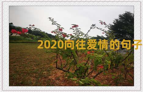 2020向往爱情的句子