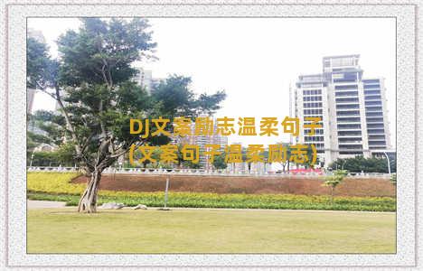 DJ文案励志温柔句子(文案句子温柔励志)