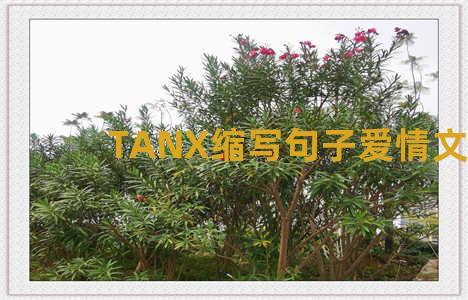 TANX缩写句子爱情文案