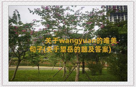 关于wangyuan的唯美句子(关于望岳的题及答案)