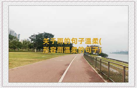 关于雨的句子温柔(形容雨温柔的句子)