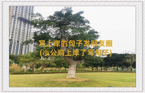 写上岸的句子发朋友圈(小公鸡上岸了写句子)