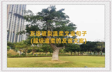 友谊破裂温柔文案句子(超级温柔的友谊文案)