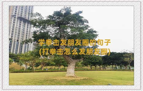 学拳击发朋友圈的句子(打拳击怎么发朋友圈)