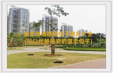 温柔地道晚安句子图片大全(可以代替晚安的温柔句子)