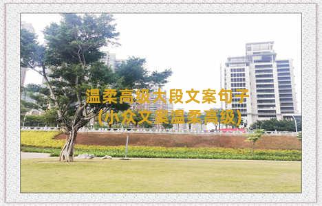 温柔高级大段文案句子(小众文案温柔高级)