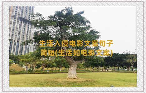 生活入侵电影文案句子简短(生活如电影文案)