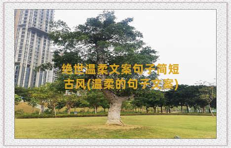 绝世温柔文案句子简短古风(温柔的句子文案)