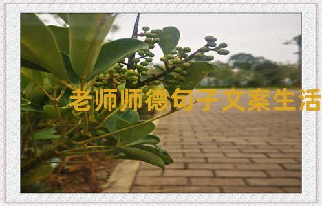 老师师德句子文案生活