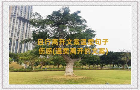 自行离开文案温柔句子伤感(温柔离开的文案)