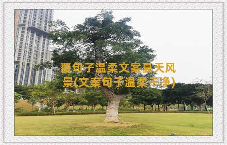 覆句子温柔文案夏天风景(文案句子温柔干净)